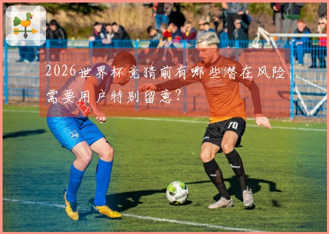 2026世界杯竞猜前有哪些潜在风险需要用户特别留意？