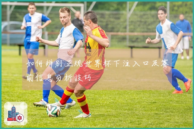 如何辨别正规世界杯下注入口及赛前信息分析技巧