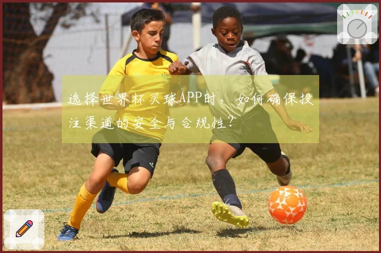 选择世界杯买球APP时，如何确保投注渠道的安全与合规性？